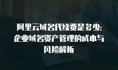 阿里云域名代续费是多少：企业域名资产管理的成本与风险解析