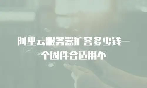 阿里云服务器扩容多少钱一个固件合适用不