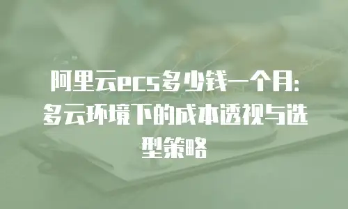 阿里云ecs多少钱一个月：多云环境下的成本透视与选型策略