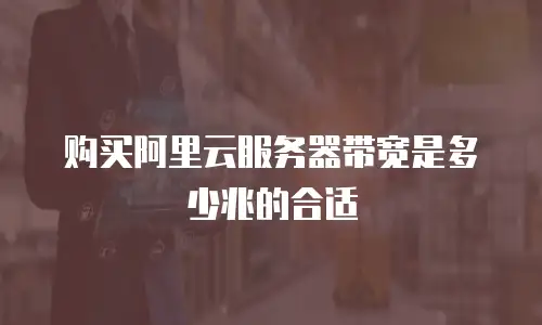 购买阿里云服务器带宽是多少兆的合适