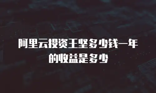 阿里云投资王坚多少钱一年的收益是多少