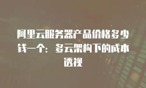 阿里云服务器产品价格多少钱一个：多云架构下的成本透视