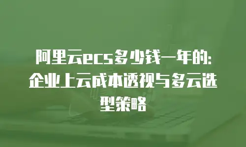 阿里云ecs多少钱一年的：企业上云成本透视与多云选型策略