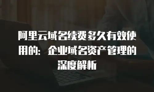 阿里云域名续费多久有效使用的：企业域名资产管理的深度解析