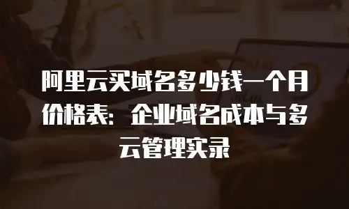 阿里云买域名多少钱一个月价格表：企业域名成本与多云管理实录