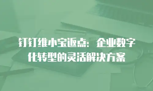 钉钉维小宝返点：企业数字化转型的灵活解决方案