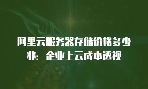 阿里云服务器存储价格多少兆：企业上云成本透视