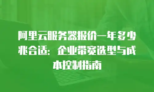 阿里云服务器报价一年多少兆合适：企业带宽选型与成本控制指南