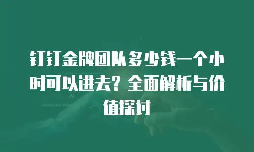 钉钉金牌团队多少钱一个小时可以进去？全面解析与价值探讨