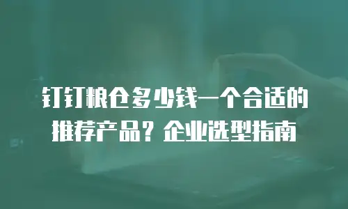 钉钉粮仓多少钱一个合适的推荐产品？企业选型指南