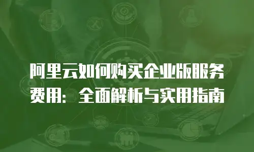 阿里云如何购买企业版服务费用：全面解析与实用指南