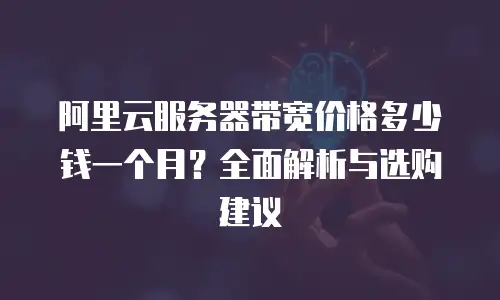 阿里云服务器带宽价格多少钱一个月？全面解析与选购建议