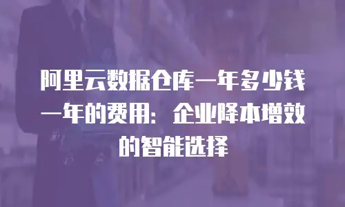 阿里云数据仓库一年多少钱一年的费用：企业降本增效的智能选择