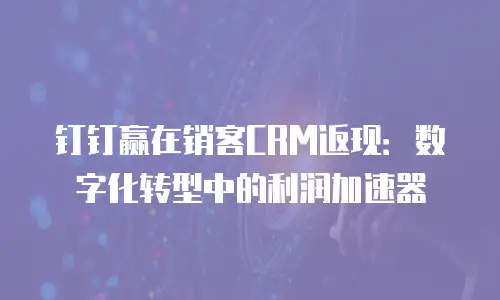钉钉赢在销客CRM返现：数字化转型中的利润加速器