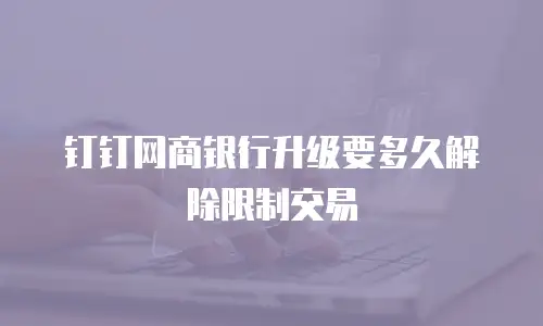 钉钉网商银行升级要多久解除限制交易