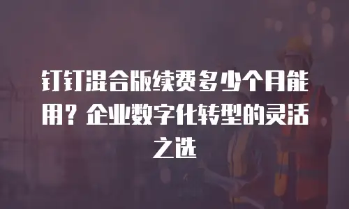 钉钉混合版续费多少个月能用？企业数字化转型的灵活之选