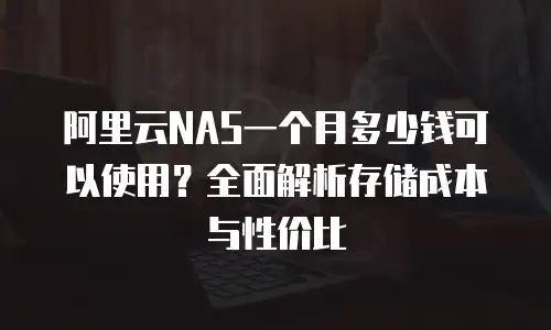 阿里云NAS一个月多少钱可以使用？全面解析存储成本与性价比