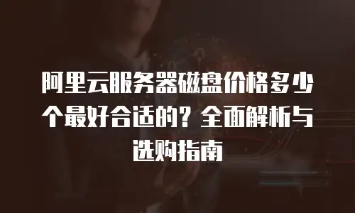 阿里云服务器磁盘价格多少个最好合适的？全面解析与选购指南