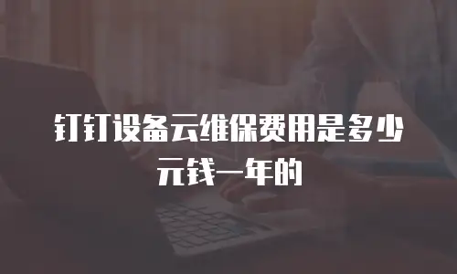 钉钉设备云维保费用是多少元钱一年的