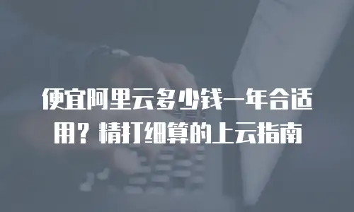 便宜阿里云多少钱一年合适用？精打细算的上云指南