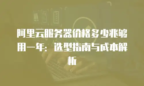 阿里云服务器价格多少兆够用一年：选型指南与成本解析