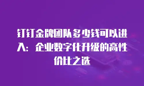 钉钉金牌团队多少钱可以进入：企业数字化升级的高性价比之选