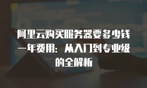 阿里云购买服务器要多少钱一年费用：从入门到专业级的全解析