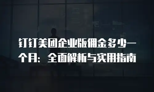 钉钉美团企业版佣金多少一个月：全面解析与实用指南