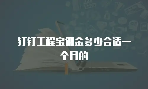 钉钉工程宝佣金多少合适一个月的