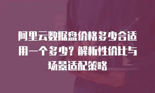 阿里云数据盘价格多少合适用一个多少？解析性价比与场景适配策略