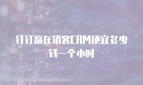 钉钉赢在销客CRM便宜多少钱一个小时
