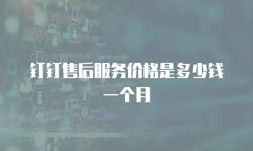 钉钉售后服务价格是多少钱一个月