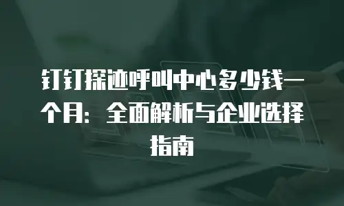 钉钉探迹呼叫中心多少钱一个月：全面解析与企业选择指南
