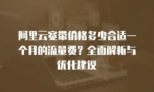 阿里云宽带价格多少合适一个月的流量费？全面解析与优化建议