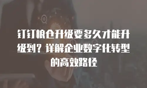 钉钉粮仓升级要多久才能升级到？详解企业数字化转型的高效路径