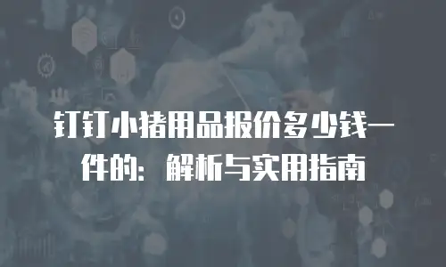 钉钉小猪用品报价多少钱一件的：解析与实用指南