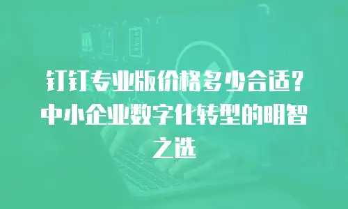 钉钉专业版价格多少合适？中小企业数字化转型的明智之选
