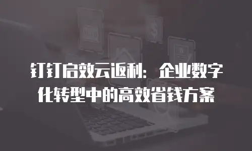钉钉启效云返利：企业数字化转型中的高效省钱方案