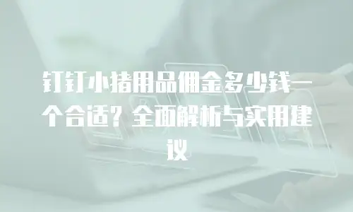 钉钉小猪用品佣金多少钱一个合适？全面解析与实用建议