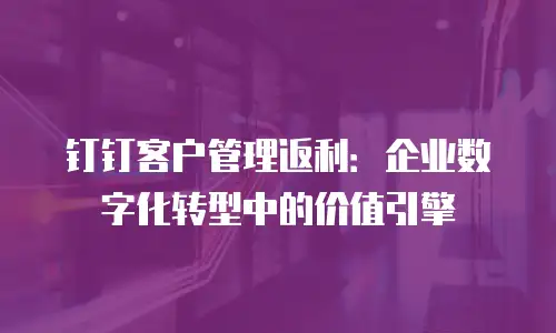 钉钉客户管理返利：企业数字化转型中的价值引擎