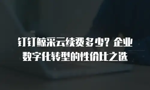 钉钉鲸采云续费多少？企业数字化转型的性价比之选