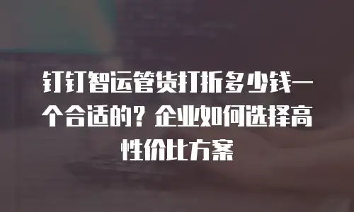 钉钉智运管货打折多少钱一个合适的？企业如何选择高性价比方案