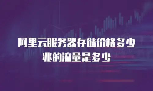 阿里云服务器存储价格多少兆的流量是多少