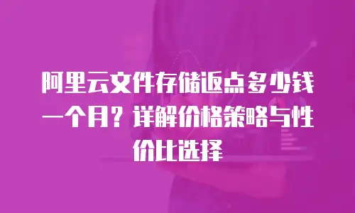 阿里云文件存储返点多少钱一个月？详解价格策略与性价比选择