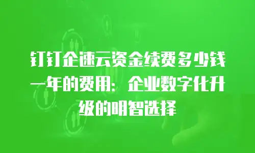 钉钉企速云资金续费多少钱一年的费用：企业数字化升级的明智选择