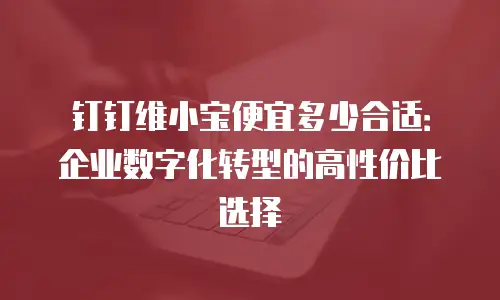 钉钉维小宝便宜多少合适：企业数字化转型的高性价比选择