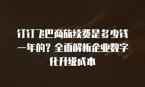 钉钉飞巴商旅续费是多少钱一年的？全面解析企业数字化升级成本