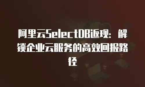 阿里云SelectDB返现：解锁企业云服务的高效回报路径