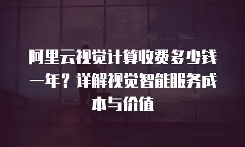 阿里云视觉计算收费多少钱一年？详解视觉智能服务成本与价值