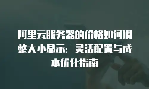 阿里云服务器的价格如何调整大小显示：灵活配置与成本优化指南